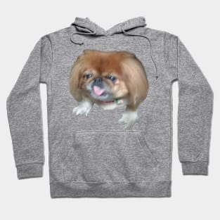 Sigma Dog Hoodie